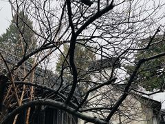 -金轮星光名座生活广场