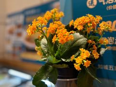 -沈家花园如皋菜(海阳路店)