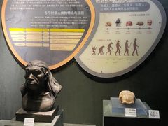 -马鞍山市博物馆