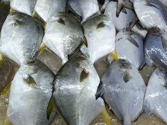 -合家小菜餐馆(新诚花苑店)