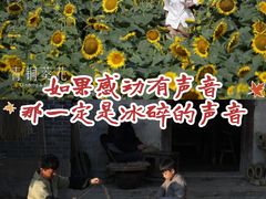 -万达影城(惠济万达广场IMAX店)