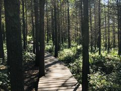 -白草畔自然风景区