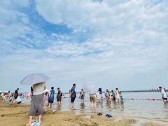 -碧海金沙