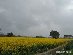 -中国天府农业博览园