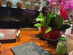 -许家菜(DT51店)