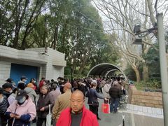 -人民公园-相亲角