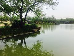 -上海长兴岛郊野公园