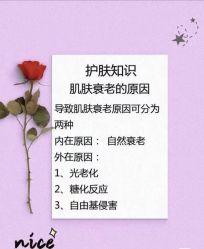 点击看大图 -玛莲朵·海菲秀冰珀科