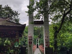 -西双版纳原始森林公园