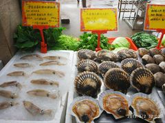 -蚝专家(北滘店)