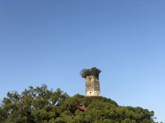 -江心屿景区