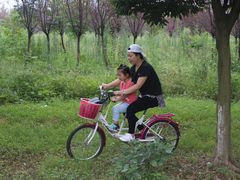 -白鹭湾湿地公园