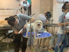 -PETKIT小佩宠物(古北店)