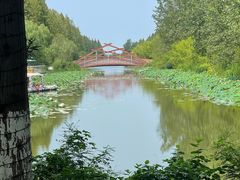 -黄海国家森林公园