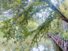 -宝岩生态观光园