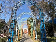 -金山农民画村-枫泾波兰倒置屋