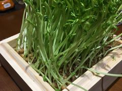 -十二舍·湯物素煮(江泰潤政店)