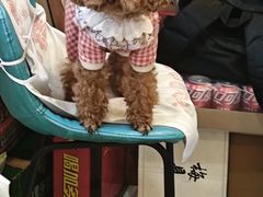 -虾大侠·盱眙龙虾老北京铜锅涮羊肉(金楠天街店)
