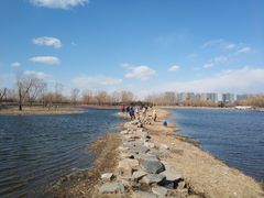 -大兴滨河森林公园