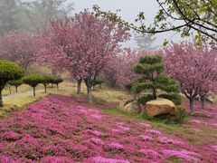 -石岛赤山风景区