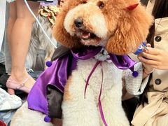 -华谊兄弟（长沙）电影小镇