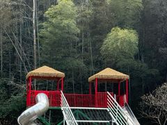-龙湾潭国家森林公园