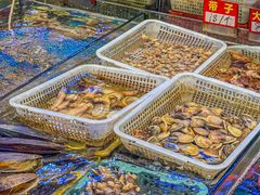 -东江海鲜大排档·潮汕菜·砂锅粥