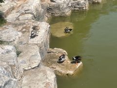 -迎泽公园