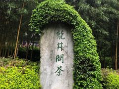 -十八棵（老龙井）御茶园(老龙井店)