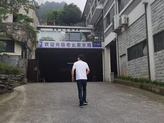 -老幺泉水鸡