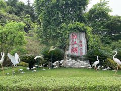 -广州白江湖森林公园