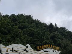 -西双版纳原始森林公园