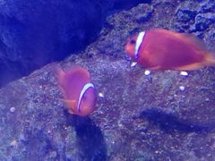 -福州罗源湾海洋世界旅游区