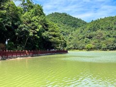 -广州白江湖森林公园