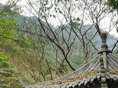 -羚羊峡古栈道森林公园