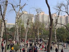 -莲湖公园