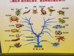 -上海昆虫博物馆