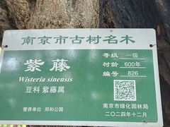 -郑和公园