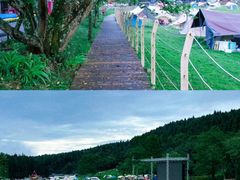 -武陵山森林公园