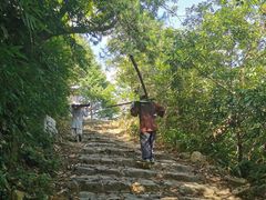 -东天目山风景区