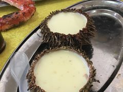 海胆蒸蛋-蚝专家(北滘店)