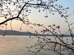 -西湖天地
