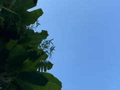 -重庆海昌加勒比海水世界