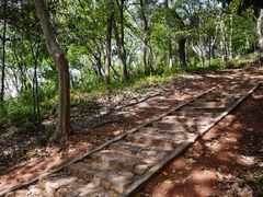 -上海佘山国家森林公园天马山园