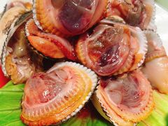 醉毛蚶-高佳庄·舟山海鲜(海景旗舰店)