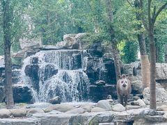 -北京野生动物园