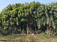 -天下先生态园农庄CS团建露营地(海鸥岛店)