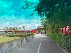 -北海金海湾红树林生态旅游区