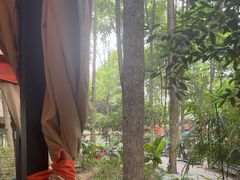 -二荆条·蜀鲜汇城市森林火锅