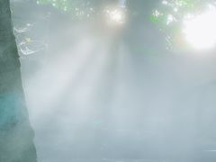 -青青世界